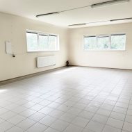 Lokal na wynajem